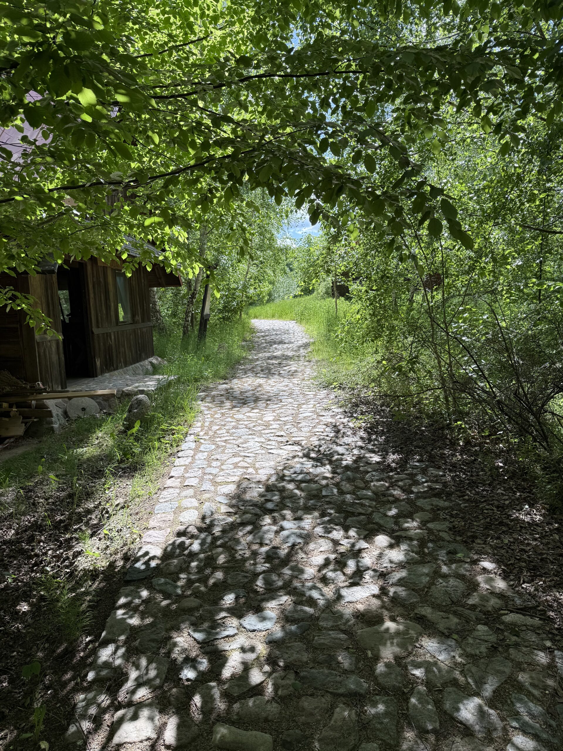 Home img 2253